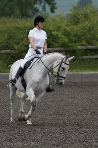 ISIS Dressage Challenge 2008